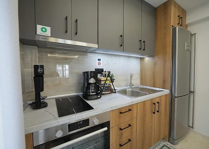 Lassani 公寓 卡斯托里亚